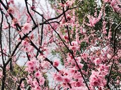 景点-静安雕塑公园