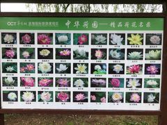 -南戴河国际娱乐中心