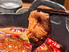 -大龙燚·旷野鲜火锅(广州首店)