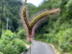 -北京山里寒舍度假酒店