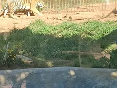 -昆明动物园
