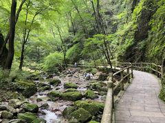 -牛背梁国家森林公园