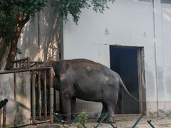 -合肥野生动物园
