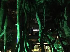 -洛阳龙门海洋馆