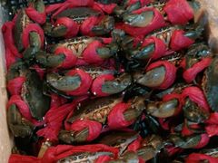 -青石桥市场北1-27号