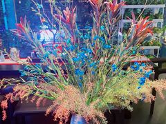 -沈灶河豚宴·河豚融合餐厅(汉中路店)