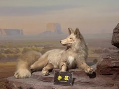 -陕西自然博物馆