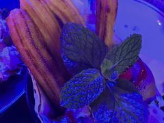 吉事果冰淇淋-Famous肥猫墨西哥音乐餐吧(五棵松华熙LIVE店)