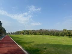 -艾溪湖湿地公园