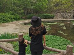 -白水寺森林公园