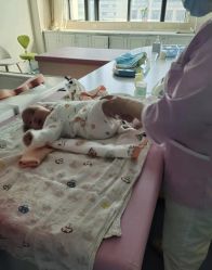 -菁幼月子会所(儿童医院店)