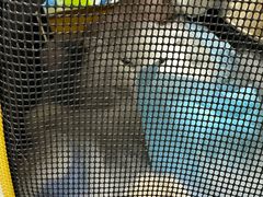 -爱佳宠物中心医院24H·CT·骨外科·猫专科(瑶海万达店)