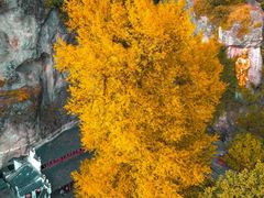 -大慈岩风景区