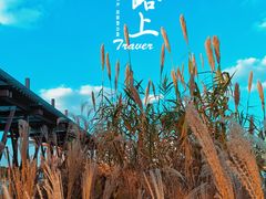 -瀛洲公园