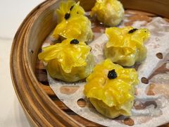 -点都德·毕德寮