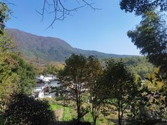 -塔川景区