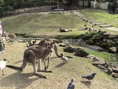 -可伦宾野生动物保护区