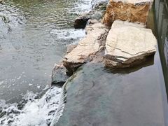 -蜀冈西峰生态公园