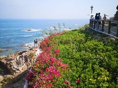 -青岛海滨风景区