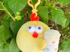 -茶理宜世(东方宝泰店)