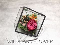 -王尔德与花