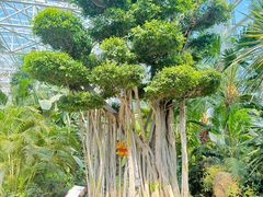 -祥源·阜阳生态乐园