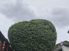 -麦当劳(南后街店)