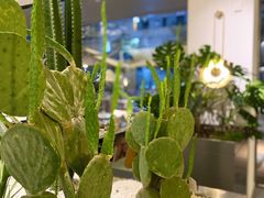 -慕境Moment Space·Fresh(33小镇店)