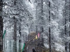 -西岭雪山大飞水景区