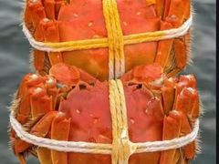 -食悦江南·淮扬菜·烤鸭(亚运村·惠新店)