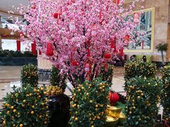 -南京维景国际大酒店(南京博物院店)