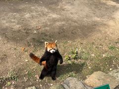 -上海野生动物园