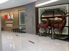 -新白鹿餐厅(虹桥南丰城店)