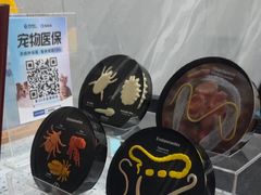 -半岛宠物医院24小时(白果林店)