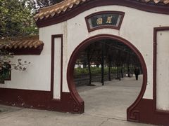-神州牡丹园