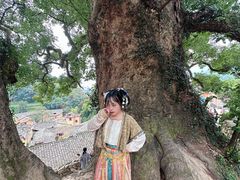 -杨家堂村