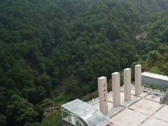 -铁山坪森林公园