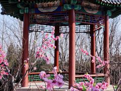 -北京凤凰岭