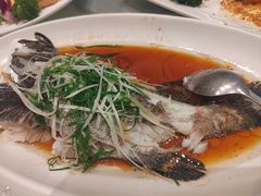 -大东海海鲜酒楼(渔人码头总店)