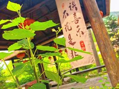 -幽岚山·童话森林