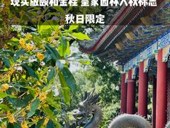 -颐和园