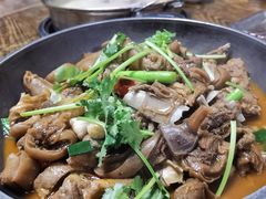 -东山羊庄(八卦岭店)