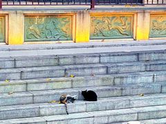 -荔湾湖公园