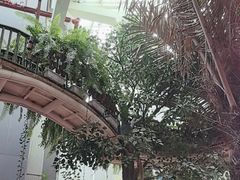 -正佳雨林生态植物园