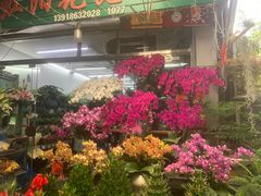 -曲阳花鸟市场(曲阳路店)