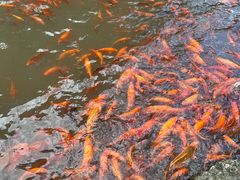 -刘伯温故里景区百丈漈