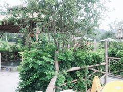 -古泉露天温泉