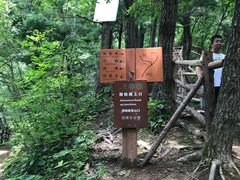 -王顺山国家森林公园