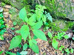 -天津盘山风景名胜区