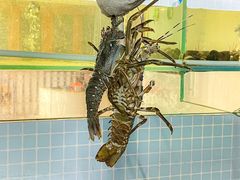 -碗中海·蒸汽海鲜·桑拿鸡(岭南天地店)
